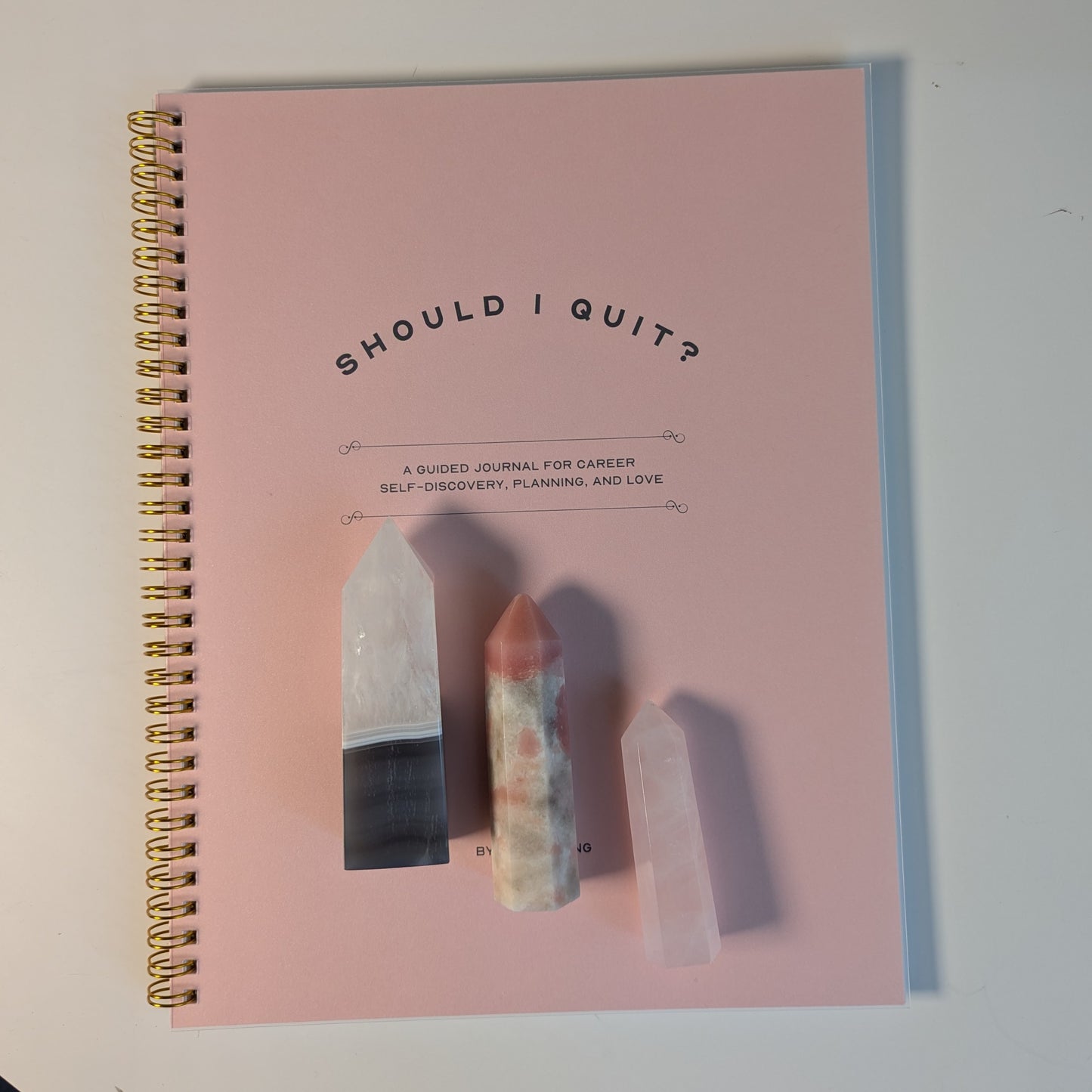 The Should I Quit? Journal