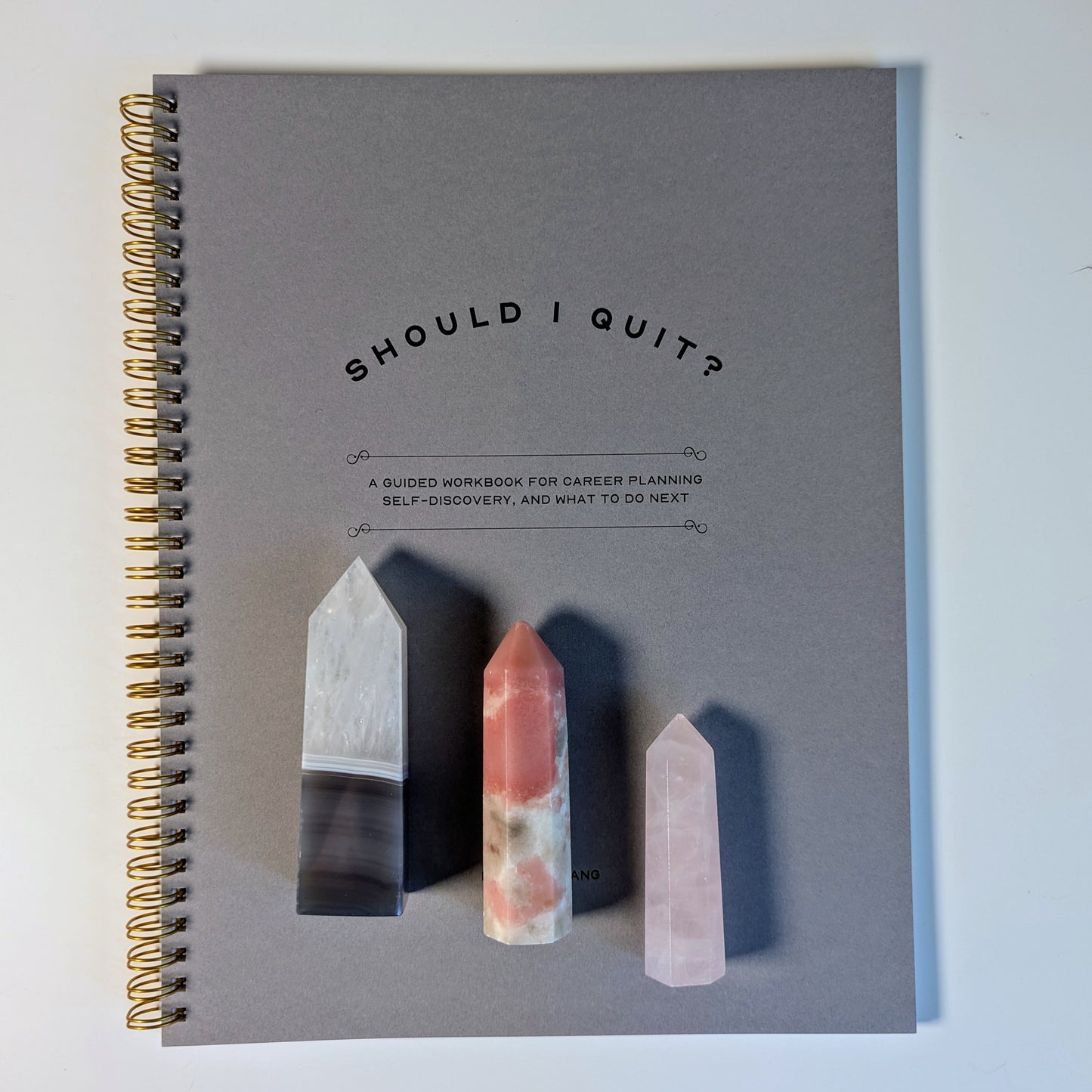 The Should I Quit? Journal